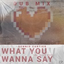 What You Wanna Say (Dub)